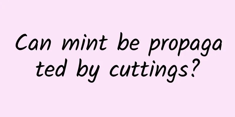 Can mint be propagated by cuttings?