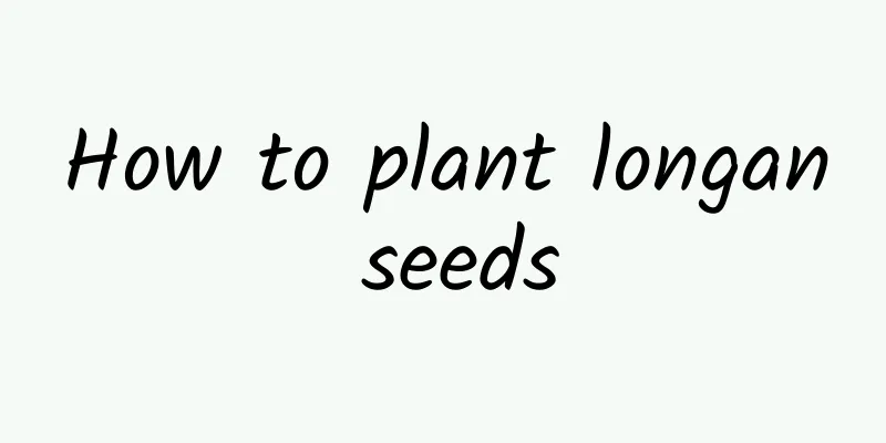 How to plant longan seeds