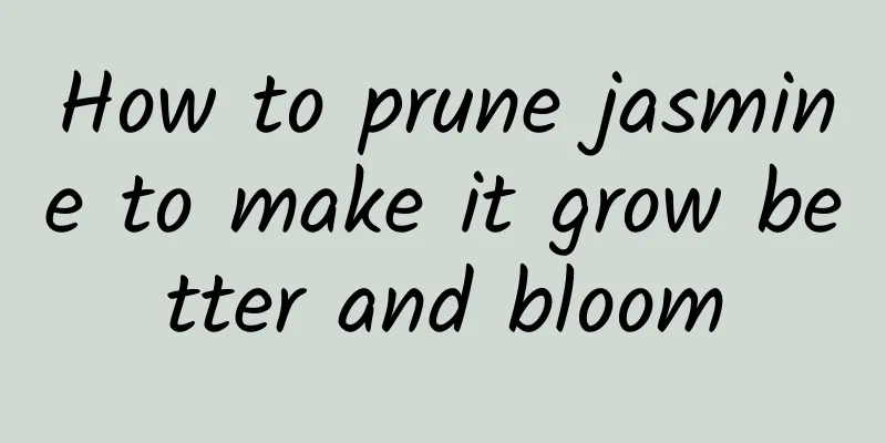 How to prune jasmine to make it grow better and bloom