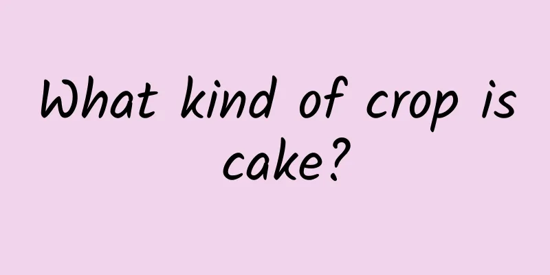 What kind of crop is cake?