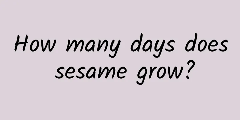 How many days does sesame grow?