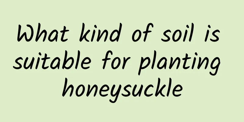 What kind of soil is suitable for planting honeysuckle