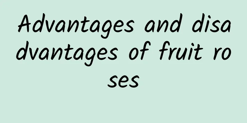 Advantages and disadvantages of fruit roses