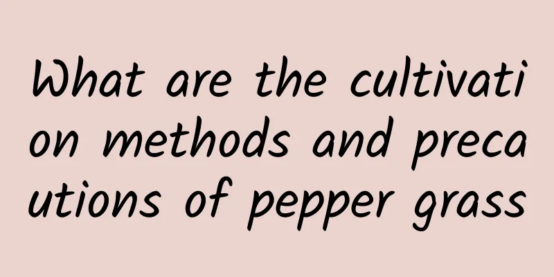 What are the cultivation methods and precautions of pepper grass