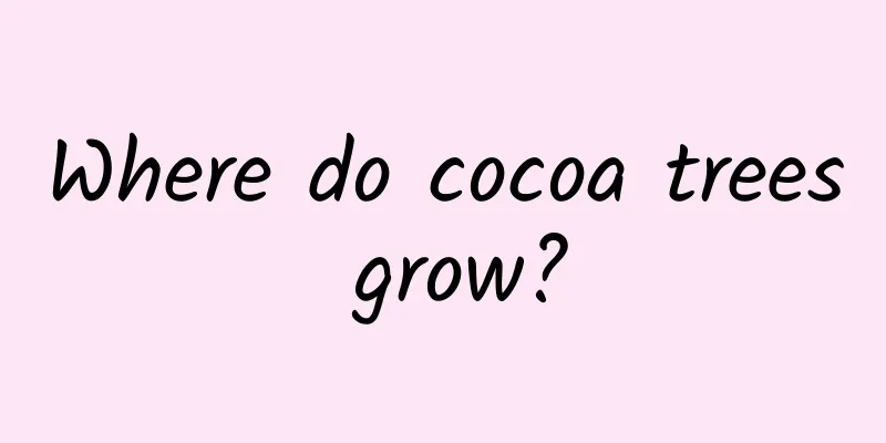 Where do cocoa trees grow?