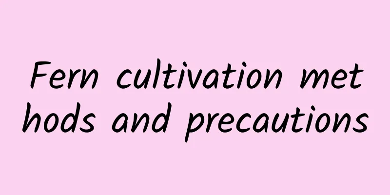 Fern cultivation methods and precautions