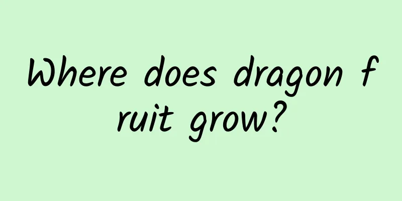 Where does dragon fruit grow?
