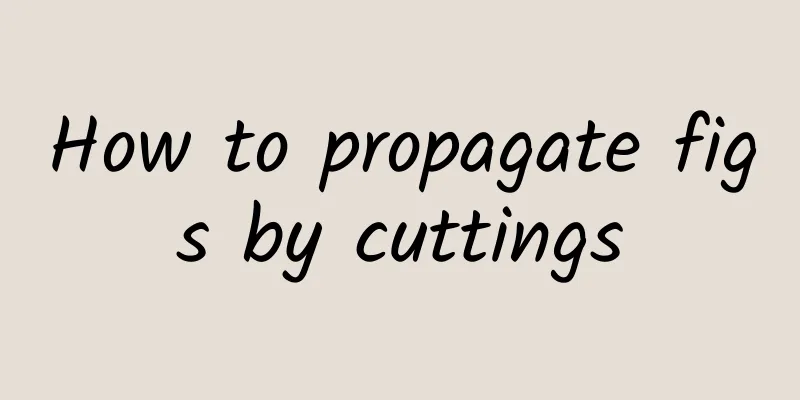 How to propagate figs by cuttings