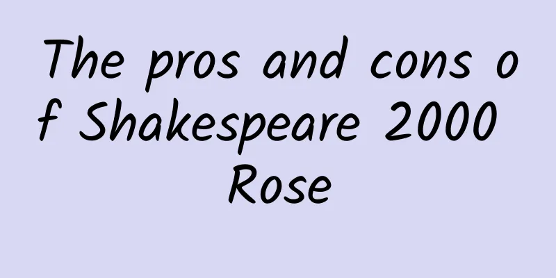 The pros and cons of Shakespeare 2000 Rose