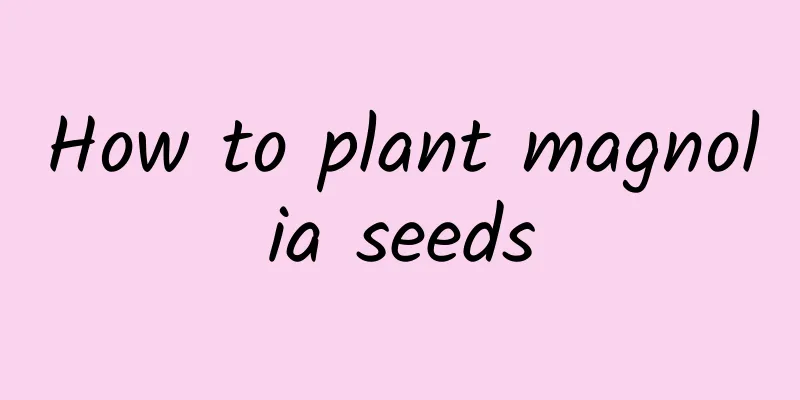 How to plant magnolia seeds