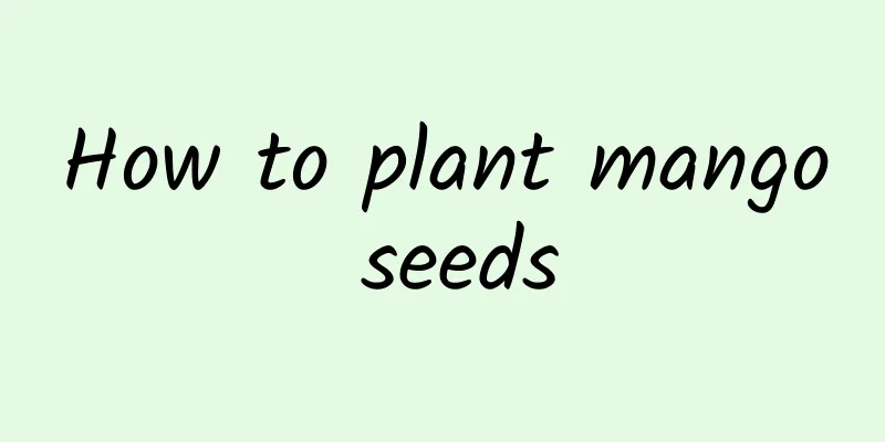 How to plant mango seeds