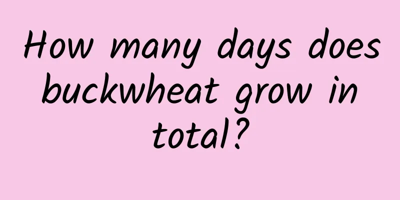 How many days does buckwheat grow in total?