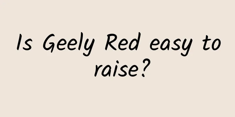 Is Geely Red easy to raise?