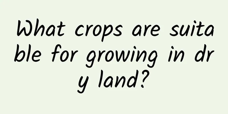 What crops are suitable for growing in dry land?
