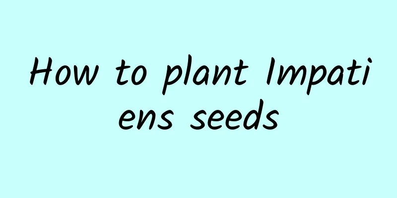 How to plant Impatiens seeds