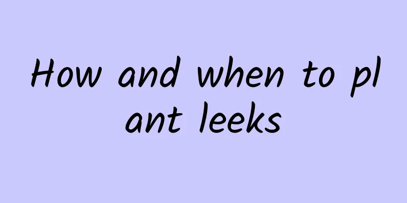 How and when to plant leeks