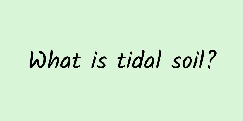 What is tidal soil?