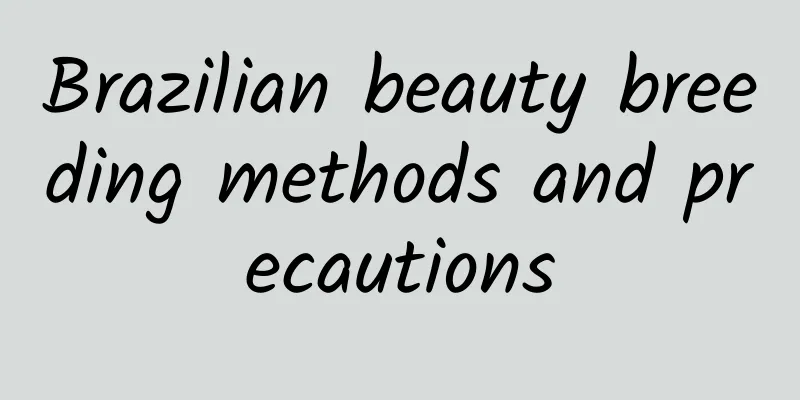 Brazilian beauty breeding methods and precautions