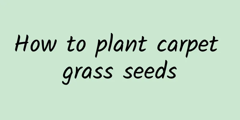 How to plant carpet grass seeds