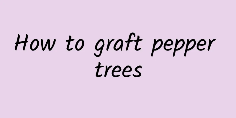 How to graft pepper trees