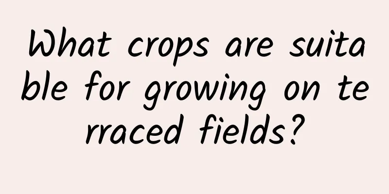 What crops are suitable for growing on terraced fields?