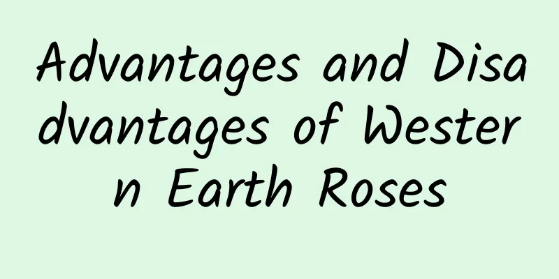 Advantages and Disadvantages of Western Earth Roses