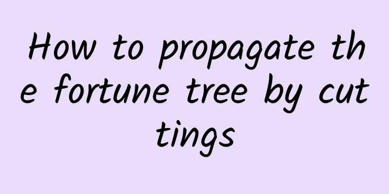 How to propagate the fortune tree by cuttings