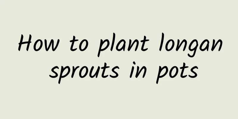 How to plant longan sprouts in pots