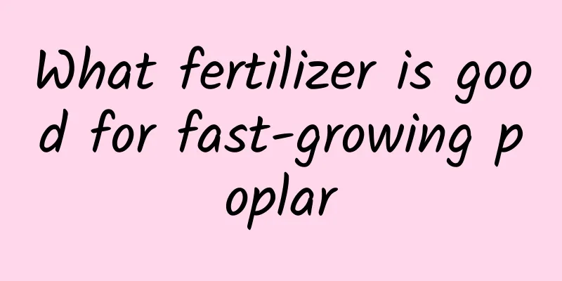 What fertilizer is good for fast-growing poplar