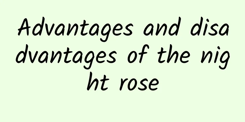 Advantages and disadvantages of the night rose