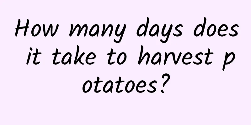 How many days does it take to harvest potatoes?