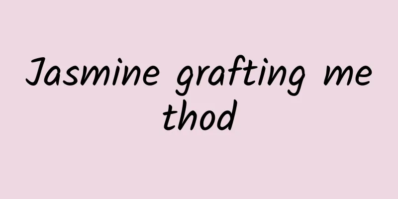 Jasmine grafting method