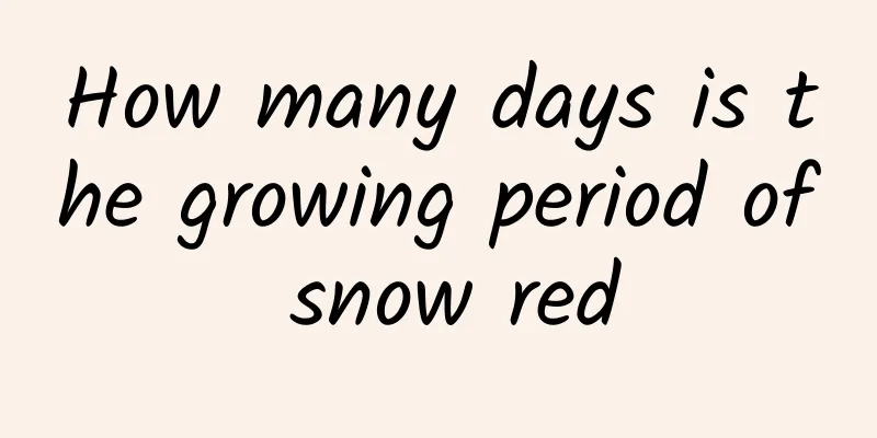 How many days is the growing period of snow red