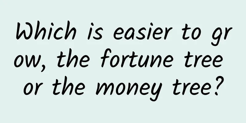 Which is easier to grow, the fortune tree or the money tree?