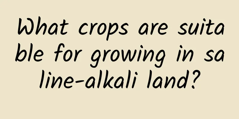 What crops are suitable for growing in saline-alkali land?