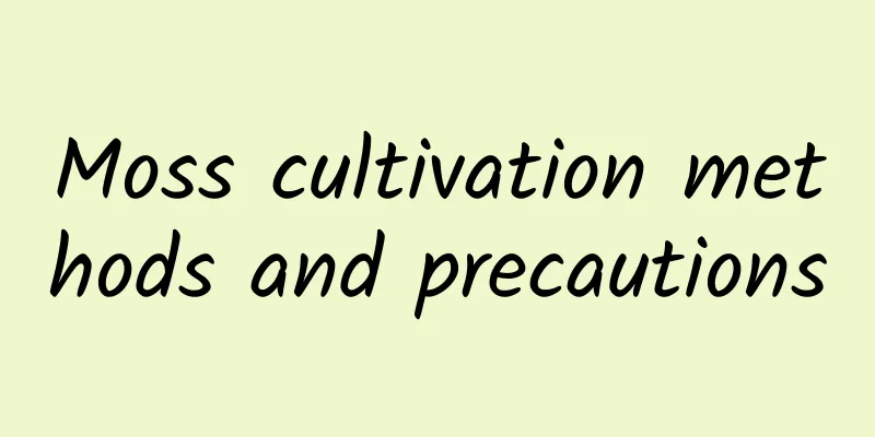 Moss cultivation methods and precautions
