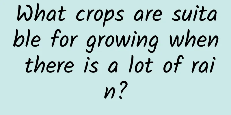 What crops are suitable for growing when there is a lot of rain?