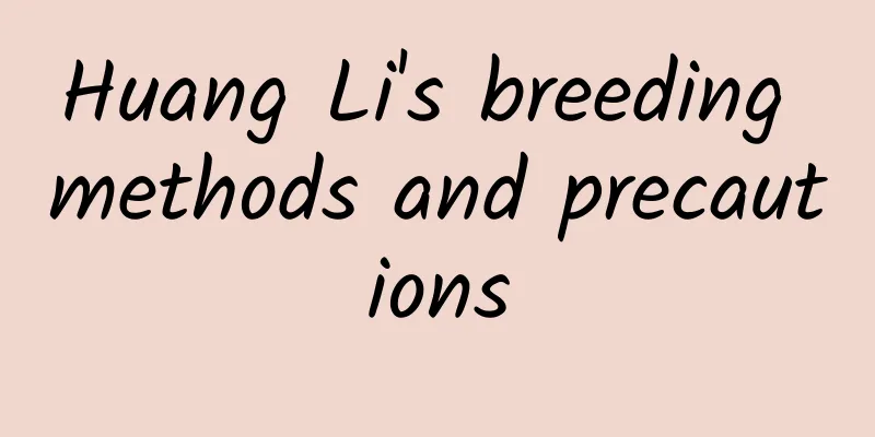 Huang Li's breeding methods and precautions