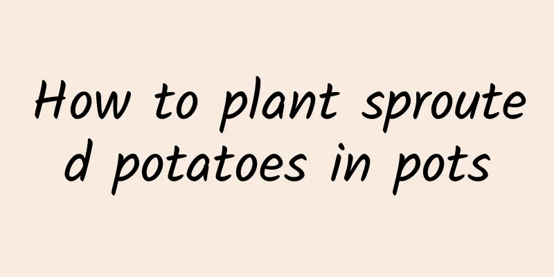 How to plant sprouted potatoes in pots
