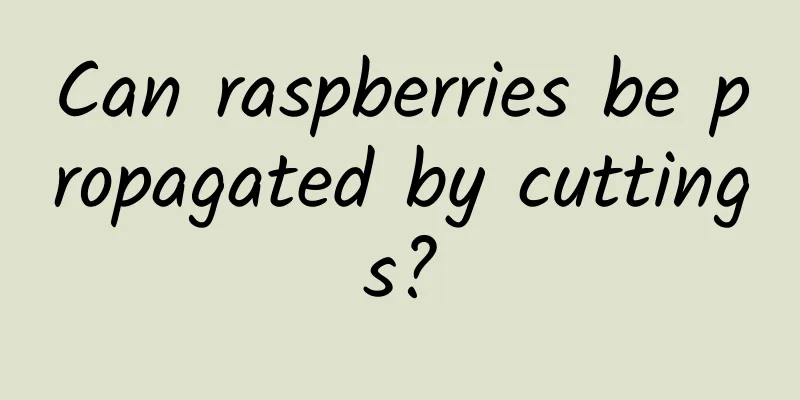 Can raspberries be propagated by cuttings?