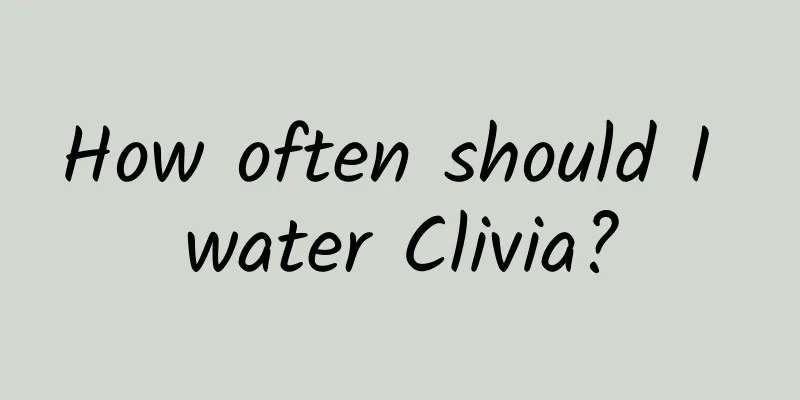 How often should I water Clivia?
