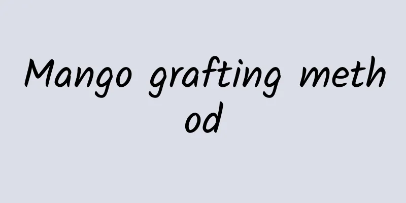 Mango grafting method