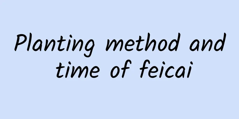 Planting method and time of feicai