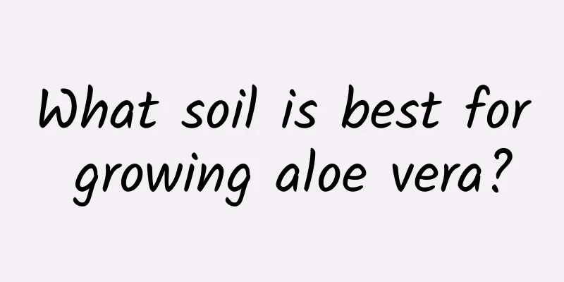 What soil is best for growing aloe vera?