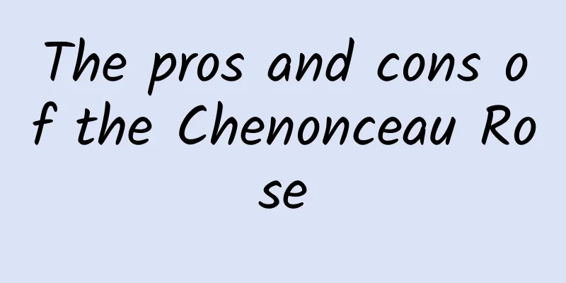 The pros and cons of the Chenonceau Rose