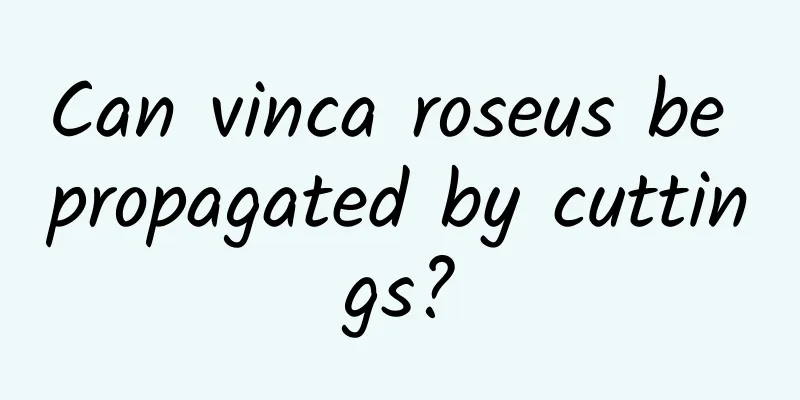 Can vinca roseus be propagated by cuttings?