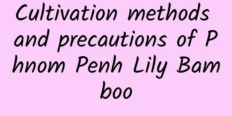 Cultivation methods and precautions of Phnom Penh Lily Bamboo
