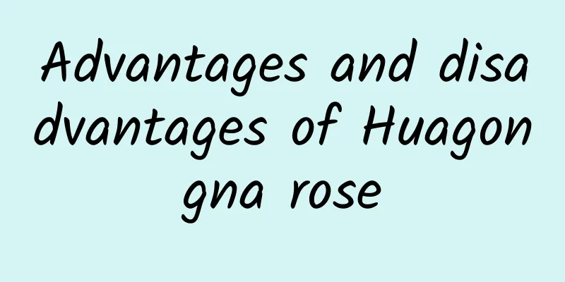 Advantages and disadvantages of Huagongna rose