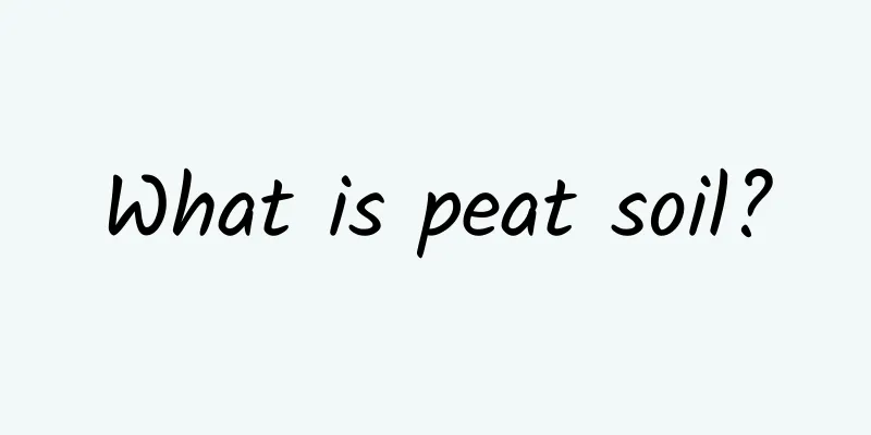 What is peat soil?