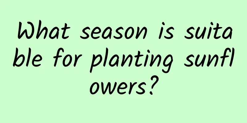 What season is suitable for planting sunflowers?